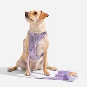 Wild One Lilac colored harness